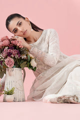 3 Piece Embroidered Lawn Suit |  DW-EA25-65