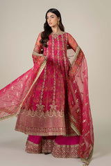 3 Piece Embroidered Organza Suit | SF-EF25-03